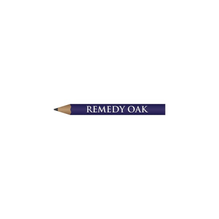 PEN2.00 Pencil without Eraser