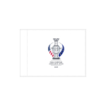 Souvenir Pin Flag
